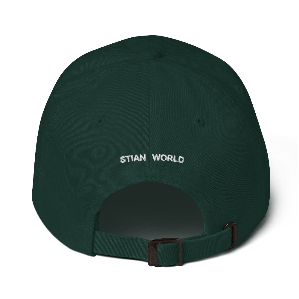Stian World Dad Hat